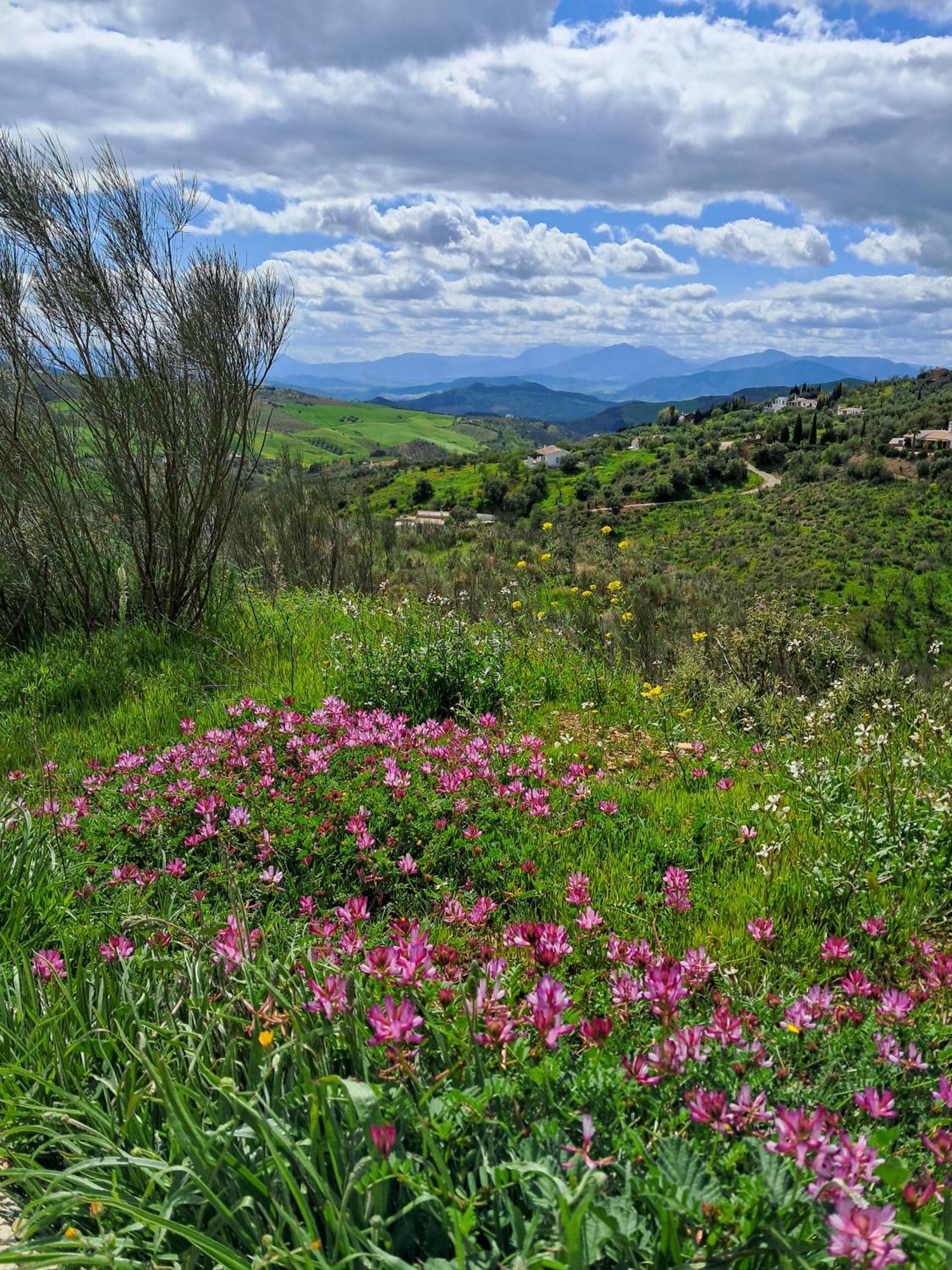Villanueva de la Concepción Finca Amorosa מראה חיצוני תמונה